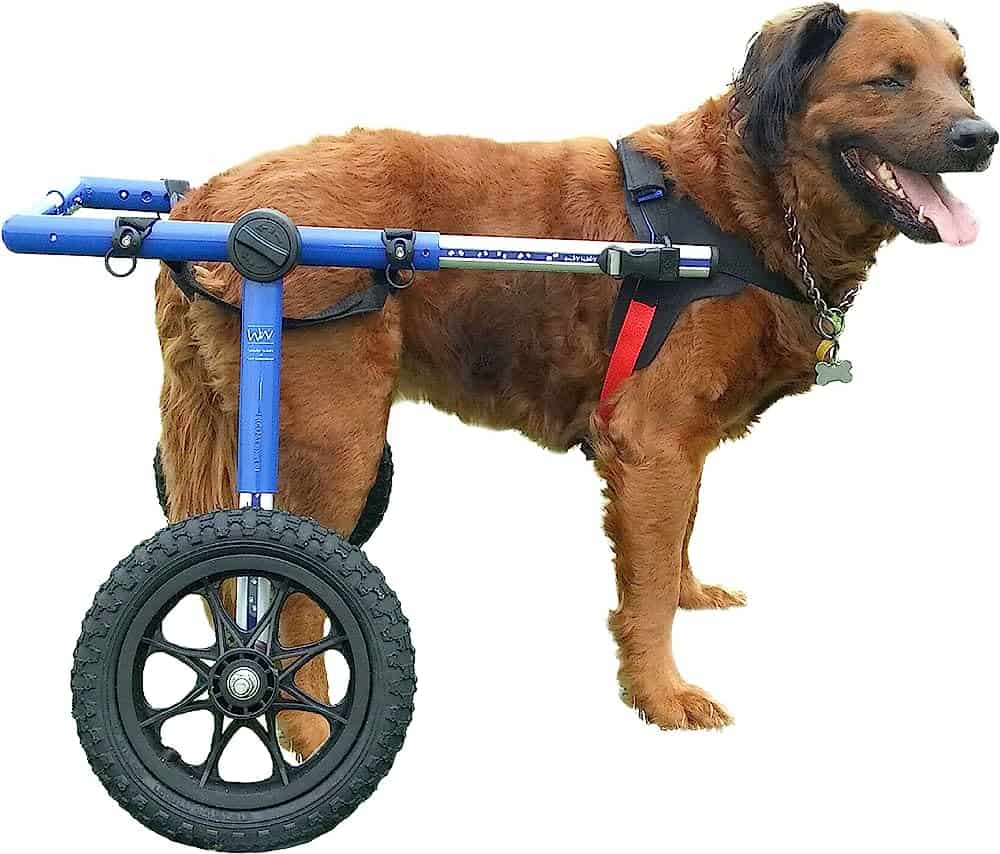 Dog Wheelchairs